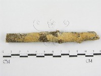 登錄號:F0002518藏品圖，第1張