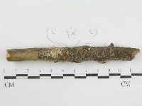 登錄號:F0002518藏品圖，第4張