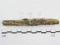 登錄號:F0002518藏品圖，第5張