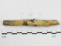 登錄號:F0002518藏品圖，第6張