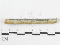 登錄號:F0002519藏品圖，第3張