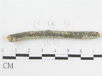 登錄號:F0002519藏品圖，第4張