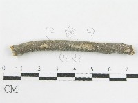 登錄號:F0002519藏品圖，第5張