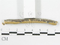 登錄號:F0002519藏品圖，第6張