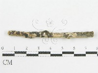 登錄號:F0002520藏品圖，第3張