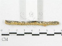 登錄號:F0002520藏品圖，第4張