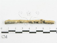 登錄號:F0002520藏品圖，第5張