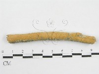 登錄號:F0002521藏品圖，第1張