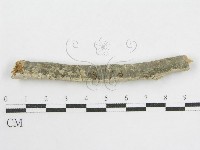 登錄號:F0002521藏品圖，第4張