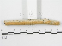 登錄號:F0002521藏品圖，第6張