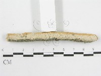 登錄號:F0002521藏品圖，第7張