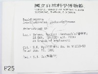 登錄號:F0002522藏品圖，第2張