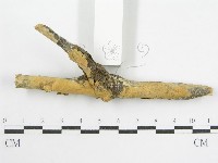 登錄號:F0002522藏品圖，第3張