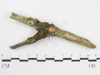 登錄號:F0002522藏品圖，第4張