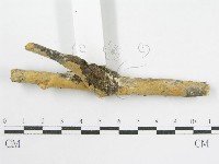 登錄號:F0002522藏品圖，第5張