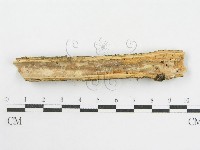 登錄號:F0002523藏品圖，第3張