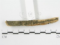 登錄號:F0002523藏品圖，第4張