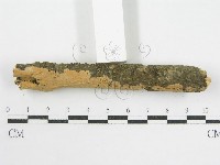 登錄號:F0002523藏品圖，第5張