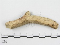 登錄號:F0002524藏品圖，第1張