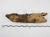 登錄號:F0002525藏品圖，第1張