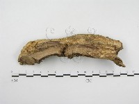登錄號:F0002525藏品圖，第3張