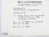 登錄號:F0002526藏品圖，第2張