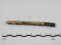 登錄號:F0002527藏品圖，第1張