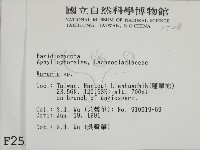 登錄號:F0002528藏品圖，第2張