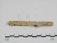 登錄號:F0002528藏品圖，第1張