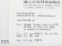 登錄號:F0002529藏品圖，第2張