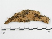 登錄號:F0002529藏品圖，第1張