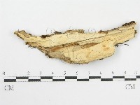 登錄號:F0002529藏品圖，第3張