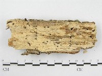 登錄號:F0002530藏品圖，第3張