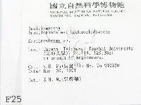 革墊菌屬藏品圖，第2張