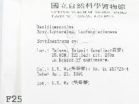 登錄號:F0002533藏品圖，第2張