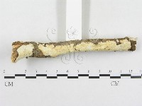 登錄號:F0002533藏品圖，第3張