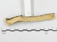 登錄號:F0002533藏品圖，第5張