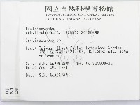 革墊菌屬藏品圖，第2張