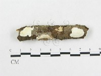 登錄號:F0002535藏品圖，第1張