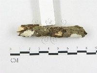 登錄號:F0002535藏品圖，第3張