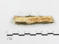 登錄號:F0002535藏品圖，第4張