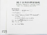 登錄號:F0002536藏品圖，第2張