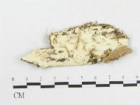 登錄號:F0002536藏品圖，第1張