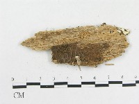 登錄號:F0002536藏品圖，第3張