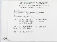 登錄號:F0002537藏品圖，第2張