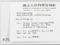 登錄號:F0002538藏品圖，第2張