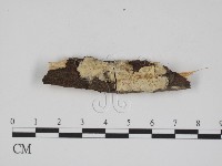 登錄號:F0002539藏品圖，第1張