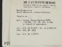 登錄號:F0002540藏品圖，第2張