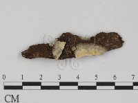 登錄號:F0002542藏品圖，第1張