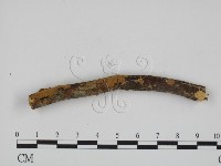 登錄號:F0002544藏品圖，第1張